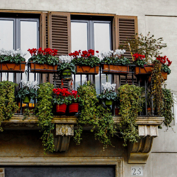 balcony with flowers in piazza navona in rome