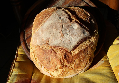 Close-up of Altamura bread