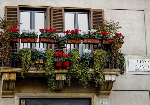 balcony with flowers in piazza navona in rome