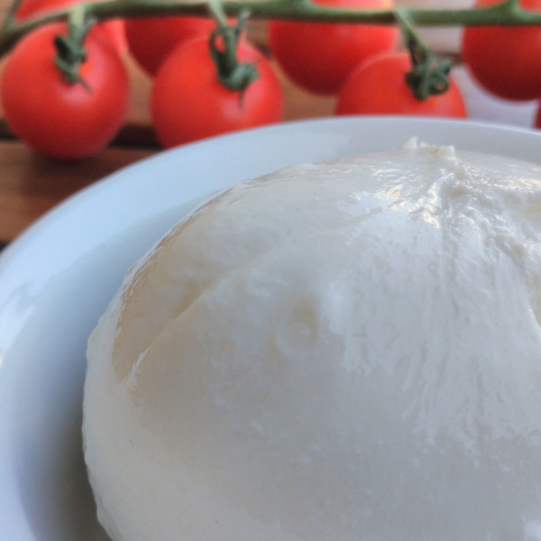 burrata with tomatoes