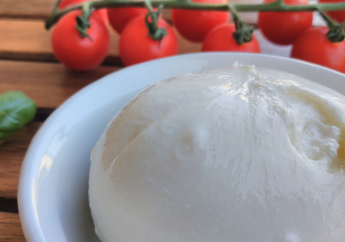 burrata with tomatoes