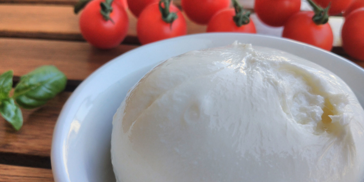 burrata with tomatoes