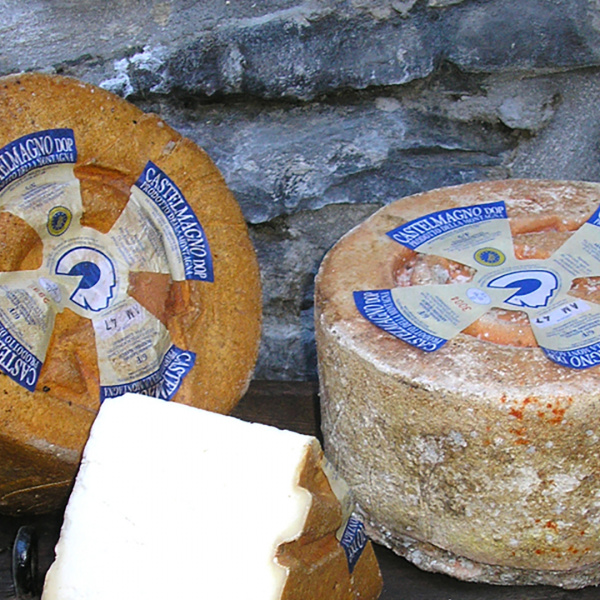 castelmagno dop cheese