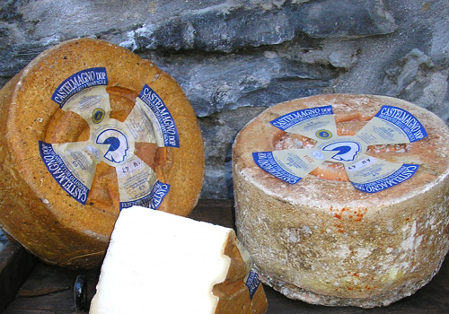 castelmagno dop cheese