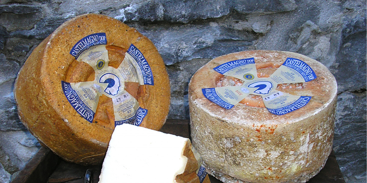 castelmagno dop cheese