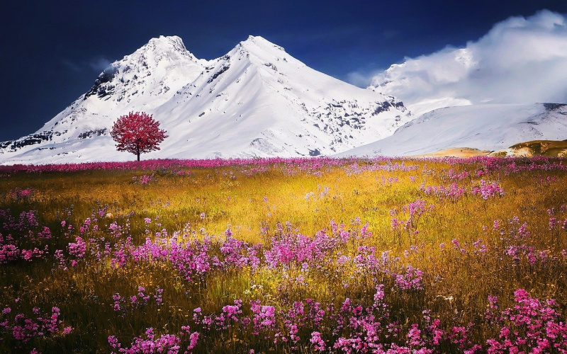 landscape with mountains