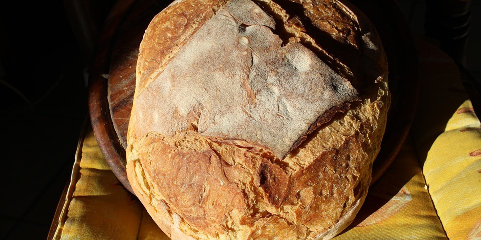 Primo piano di una pagnotta di pane di Altamura