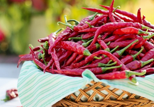 Basket full of red hot peppers