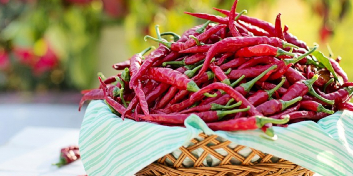 Basket full of red hot peppers