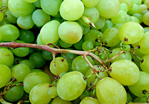 white grapes