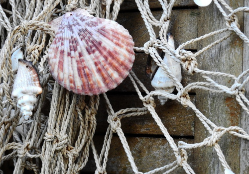 Oggetti della tradizione marinara come rete e conchiglie