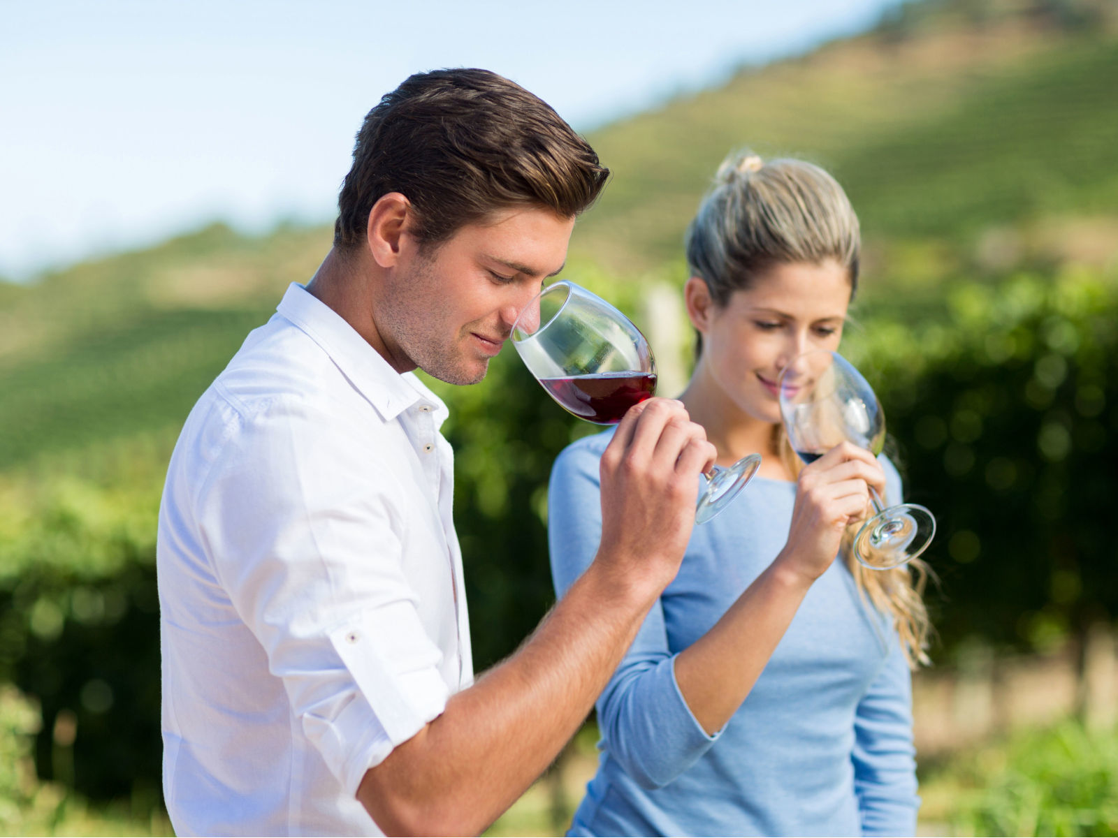 Per chi ama il vino Palati a Spasso