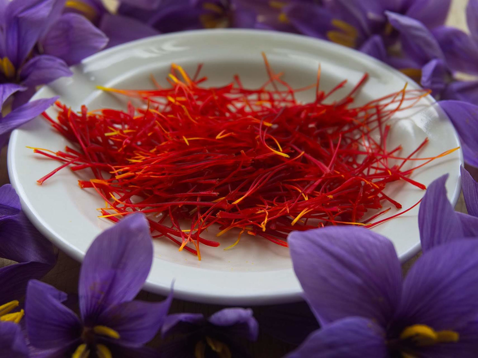 Saffron harvesting Walking Palates